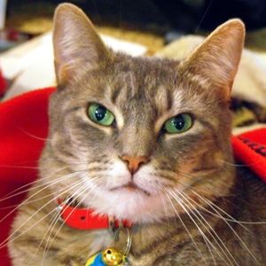 Meet your Posher, Renee